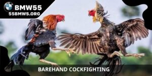Barehand Cockfighting