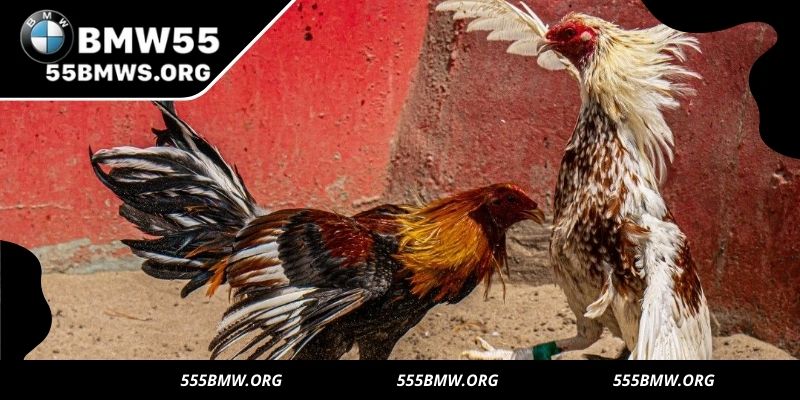 Barehand cockfighting: skillful, strategic digital matches