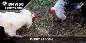Derby Sabong