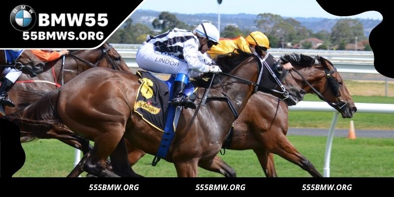 Horse racing betting with intense races