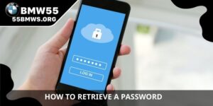 How to retrieve a password