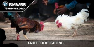 Knife Cockfighting