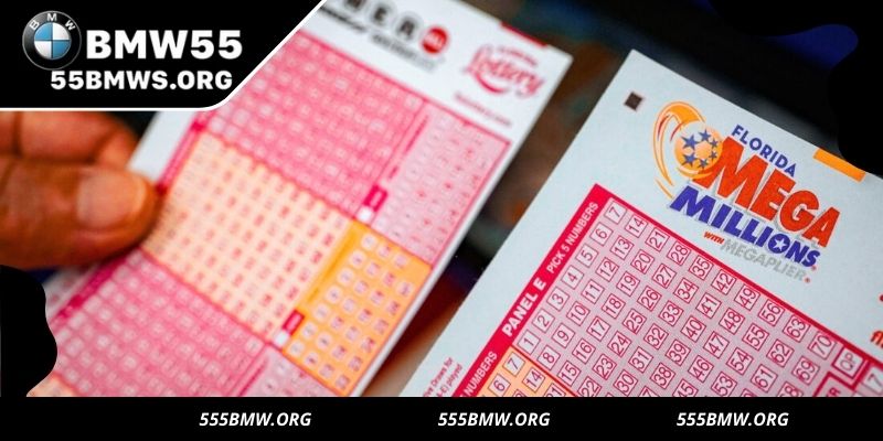Lotto – Simple, exciting, and rewarding every round
