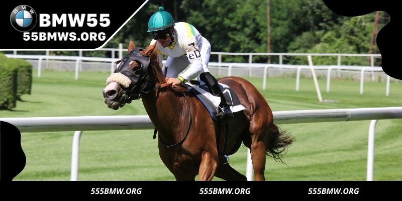 Many different types of bets are not boring
