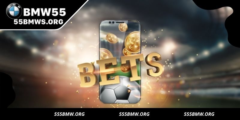 There are many outstanding points that are highly appreciated by bettors