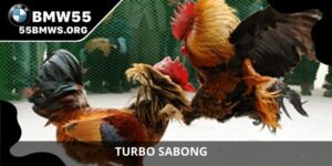 Turbo Sabong