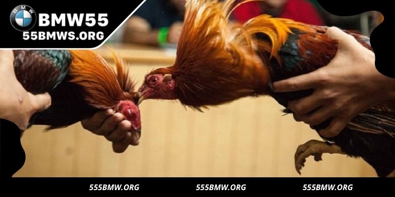 Upholding integrity with transparent, fair gameplay