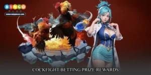 cockfight betting prize rewards
