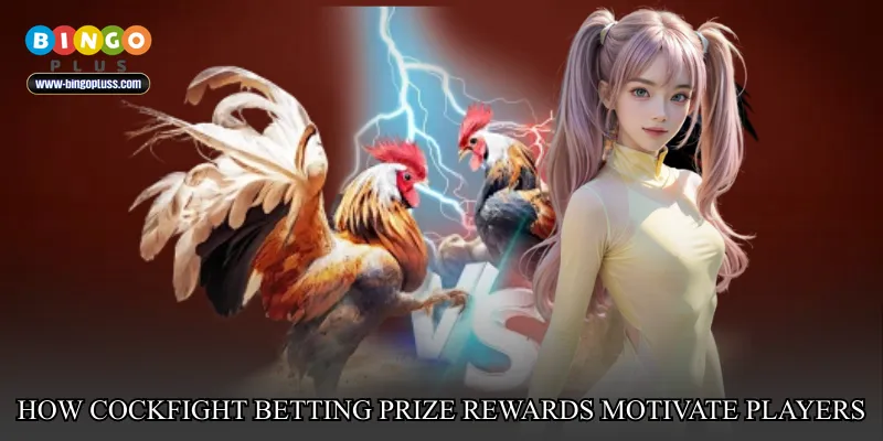 How Cockfight betting prize rewards motivate players